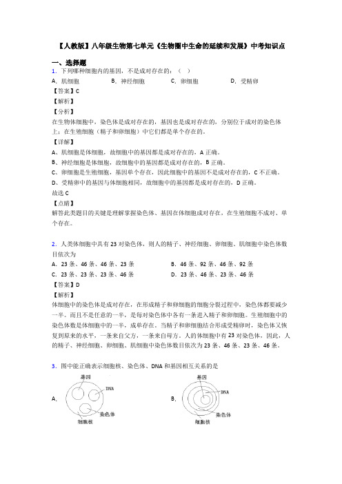 【人教版】八年级生物第七单元《生物圈中生命的延续和发展》中考知识点