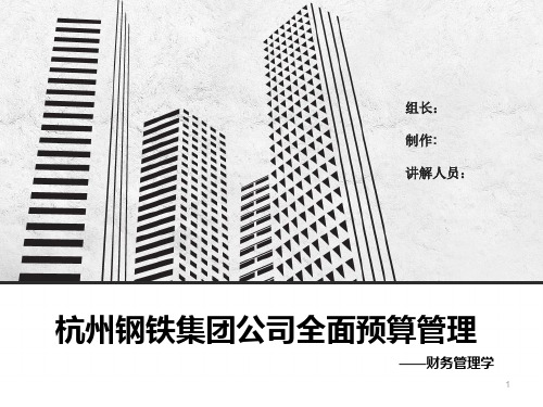 杭州钢铁集团公司全面预算管理ppt课件