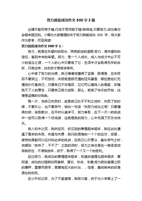 努力就能成功作文800字3篇