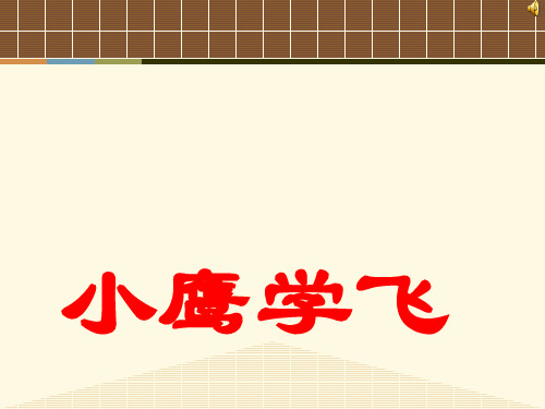 苏教版二年级语文上册《小鹰学飞》课件