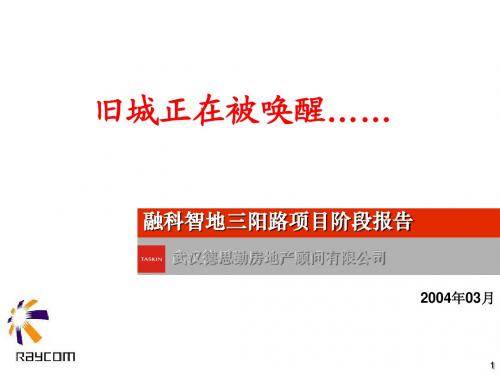 德思勤-融科智地武汉三阳路项目营销报告63PPT-16M