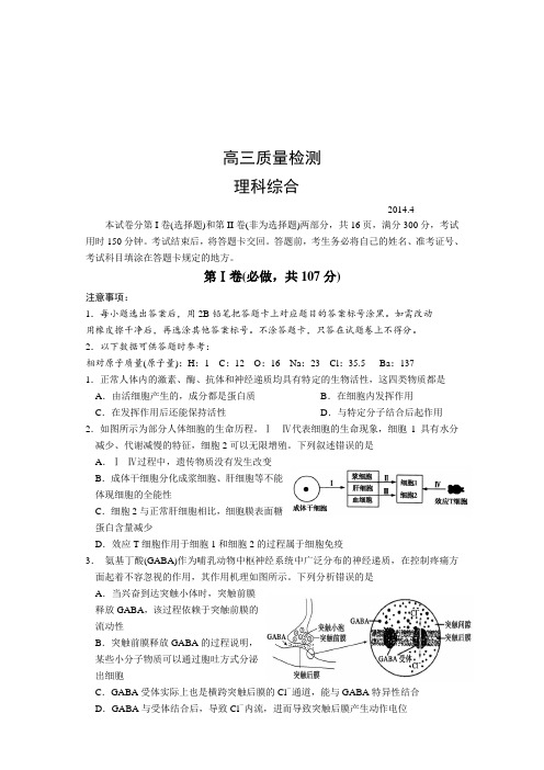 山东省文登市2014届高三第三次统考生物Word版含答案