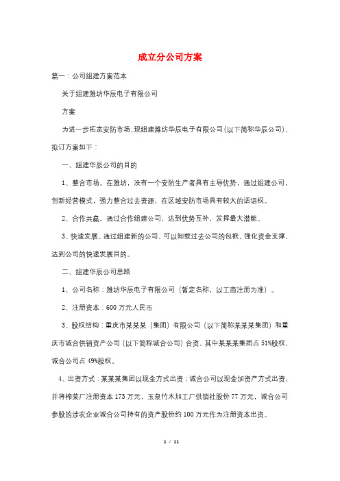 成立分公司方案