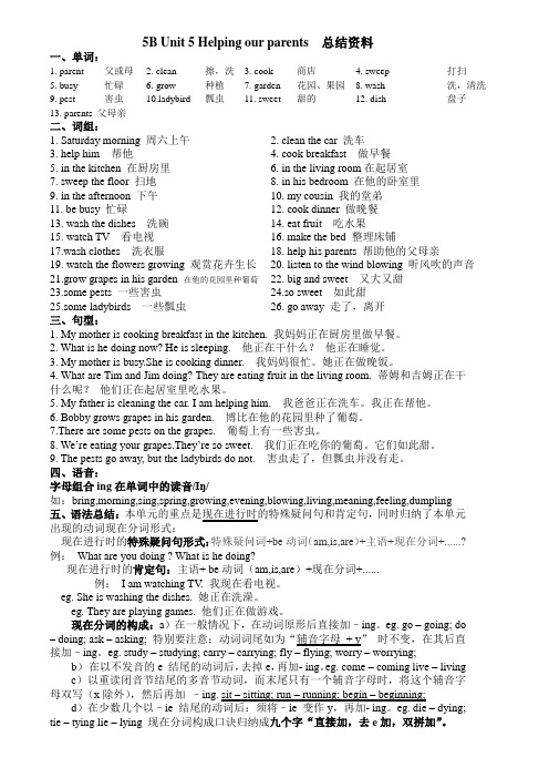 (译林版)5B Unit5 Helping our parents 总结资料