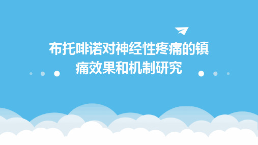 布托啡诺对神经性疼痛的镇痛效果和机制研究