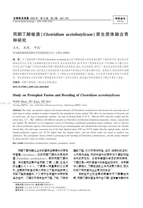 丙酮丁醇梭菌(Clostridium acetobutylicum)原生质体融合育种研究