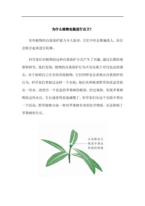 为什么植物也能进行自卫