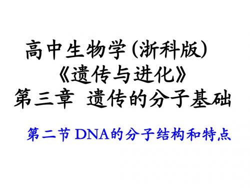 DNA的分子结构和特点