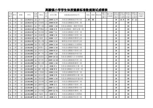 高酿镇小学学生体质健康标准数据导入模版