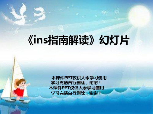 《ins指南解读》幻灯片