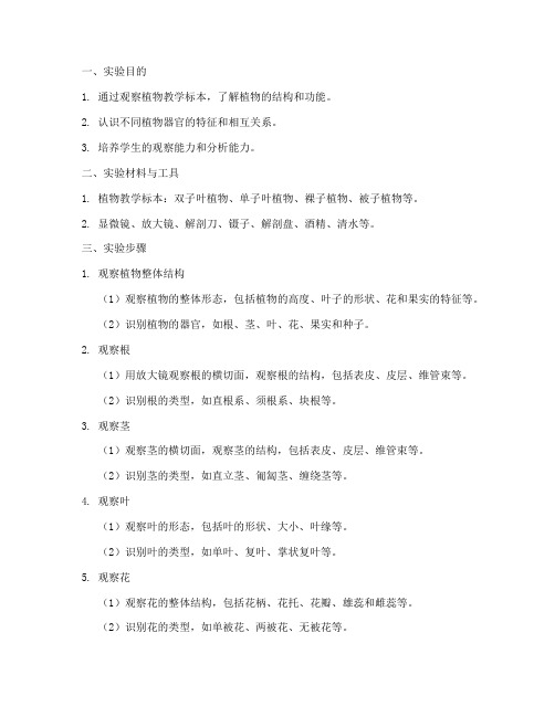 植物教学标本实验报告