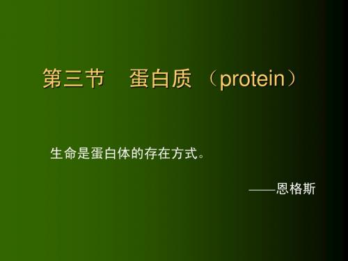 1[1].3第二章 三大产能营养素-蛋白质