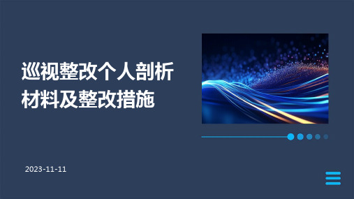 巡视整改个人剖析材料及整改措施