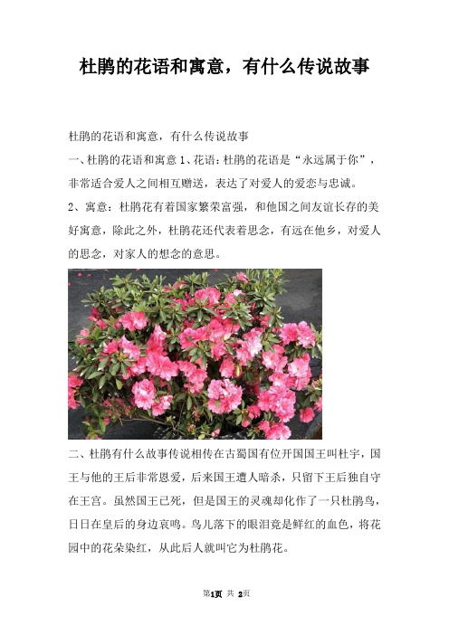 杜鹃的花语和寓意，有什么传说故事