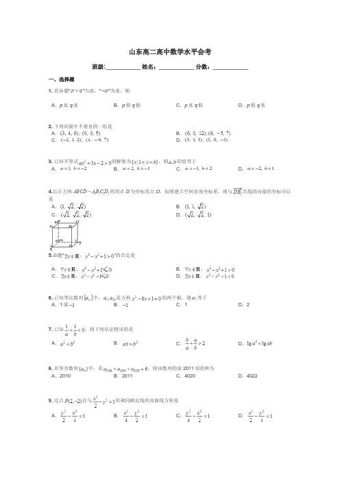 山东高二高中数学水平会考带答案解析
