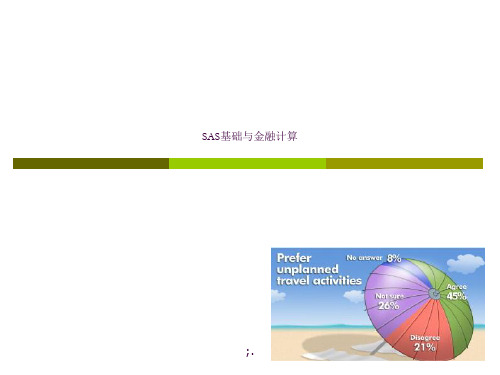 SAS基础与金融计算ppt课件