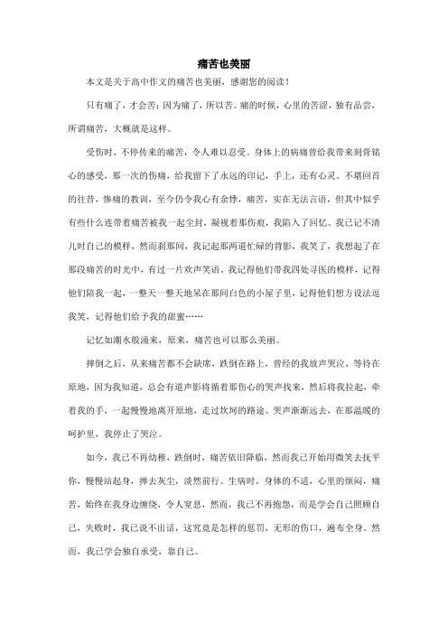 痛苦也美丽_高中作文_12