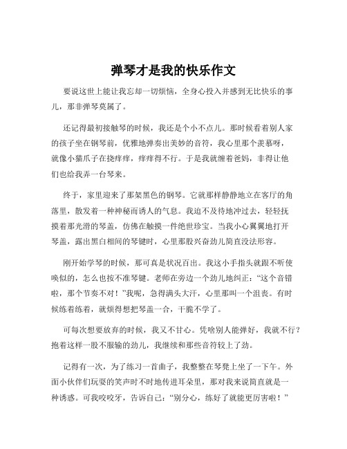 弹琴才是我的快乐作文