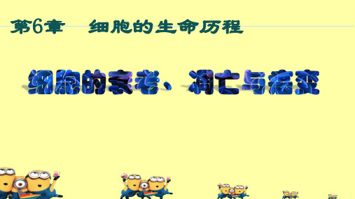 【全国百强校】青海省平安县第一高级中学人教版高中生物必修一课件：6.3 细胞的衰老凋亡和癌变(共25张PPT