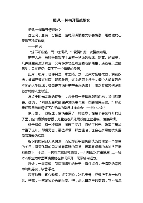 相遇,一树梅开情感散文