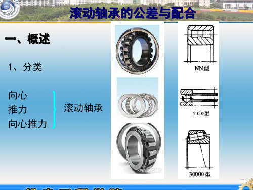 滚动轴承公差配合