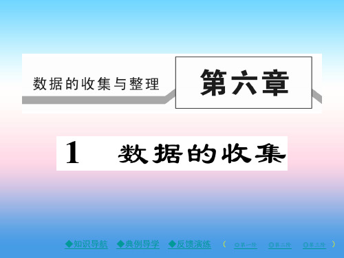 秋七年级数学上册 第六章 数据的收集与整理 1 数据的收集作业课件 (新版)北师大版