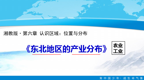 6.3 东北地区的产业分布 课件