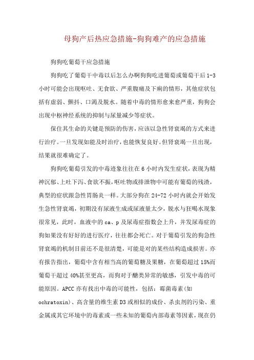 母狗产后热应急措施-狗狗难产的应急措施