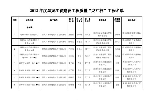 龙江杯doc