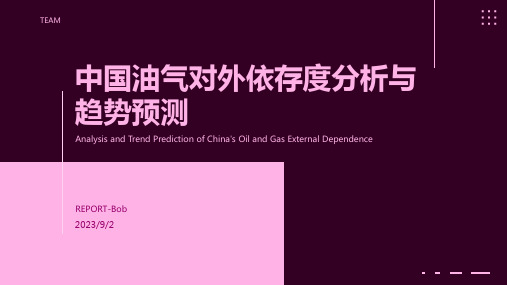 2023年中国油气对外依存度发展趋势分析：预计达67%方案模板