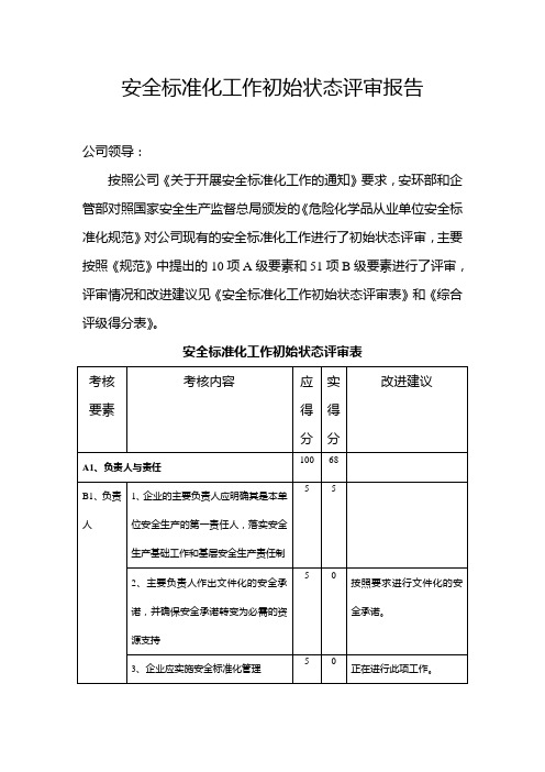 安全标准化工作初始状态评审报告.