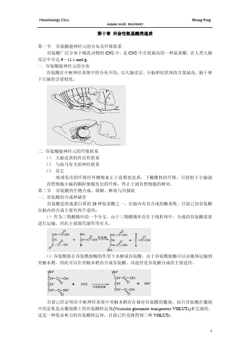 第十章兴奋性氨基酸类递质第一节谷氨酸能神经元的分布及纤