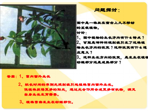 人教版教学课件植物的激素调节整章课件ppt