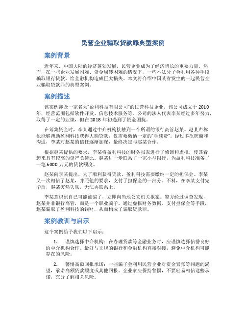 民营企业骗取贷款罪典型案例