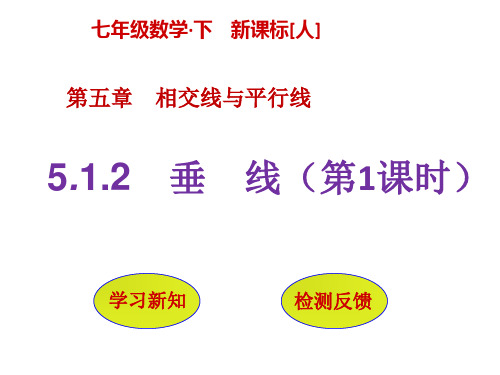 人教版数学七年级下册(贵州专版)同步教学课件：5.1.2 