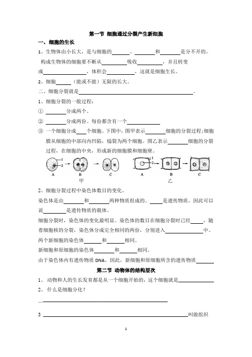 第一节_细胞通过分裂产生新细胞      第二节 动物体的结构层次