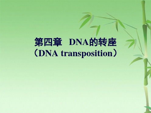 第四章DNA的转座分子生物学(共61张PPT)