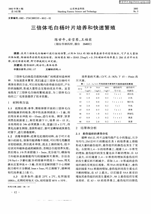 三倍体毛白杨叶片培养和快速繁殖