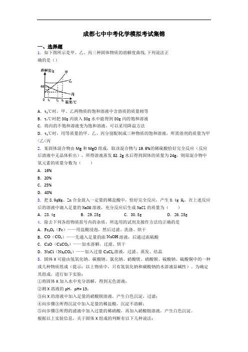 成都七中中考化学模拟考试集锦