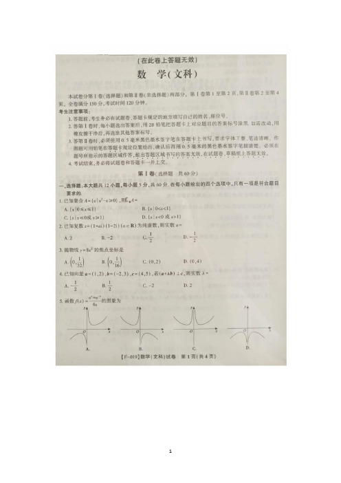 安徽省A10联盟2019届高三最后一卷  数学(文) 扫描版含答案