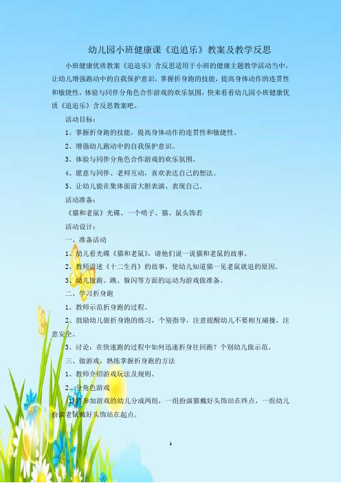 幼儿园小班健康课《追追乐》教案及教学反思