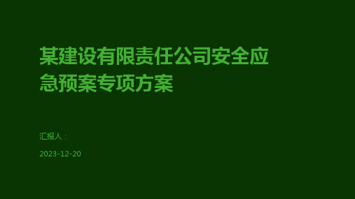 某建设有限责任公司安全应急预案专项方案