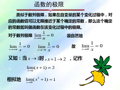 大学数学函数的极限-PPT