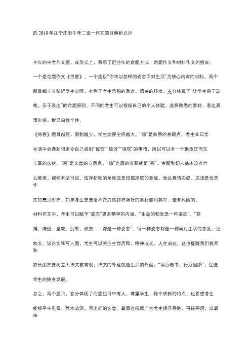 辽宁沈阳中考二选一作文题目解析点评