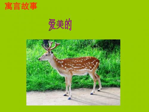 四年级下册语文课件—7.3 爱美的梅花鹿 长春版[006]