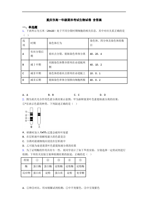 重庆市高一年级期末考试生物试卷 含答案