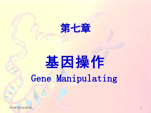 医学分子生物学原理-分子杂交和印迹技术