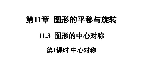 青岛版八年级数学QD下册精品授课课件 第11章 图形的平移与旋转 第1课时 中心对称