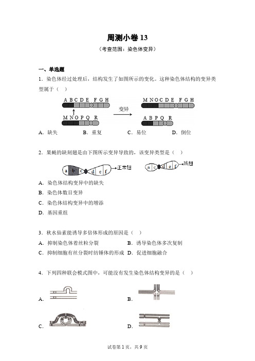 周测小卷13(考查范围：染色体变异)