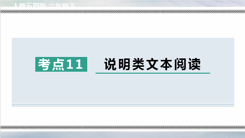 部编版六年级语文下册期末专项考点 说明类文本阅读